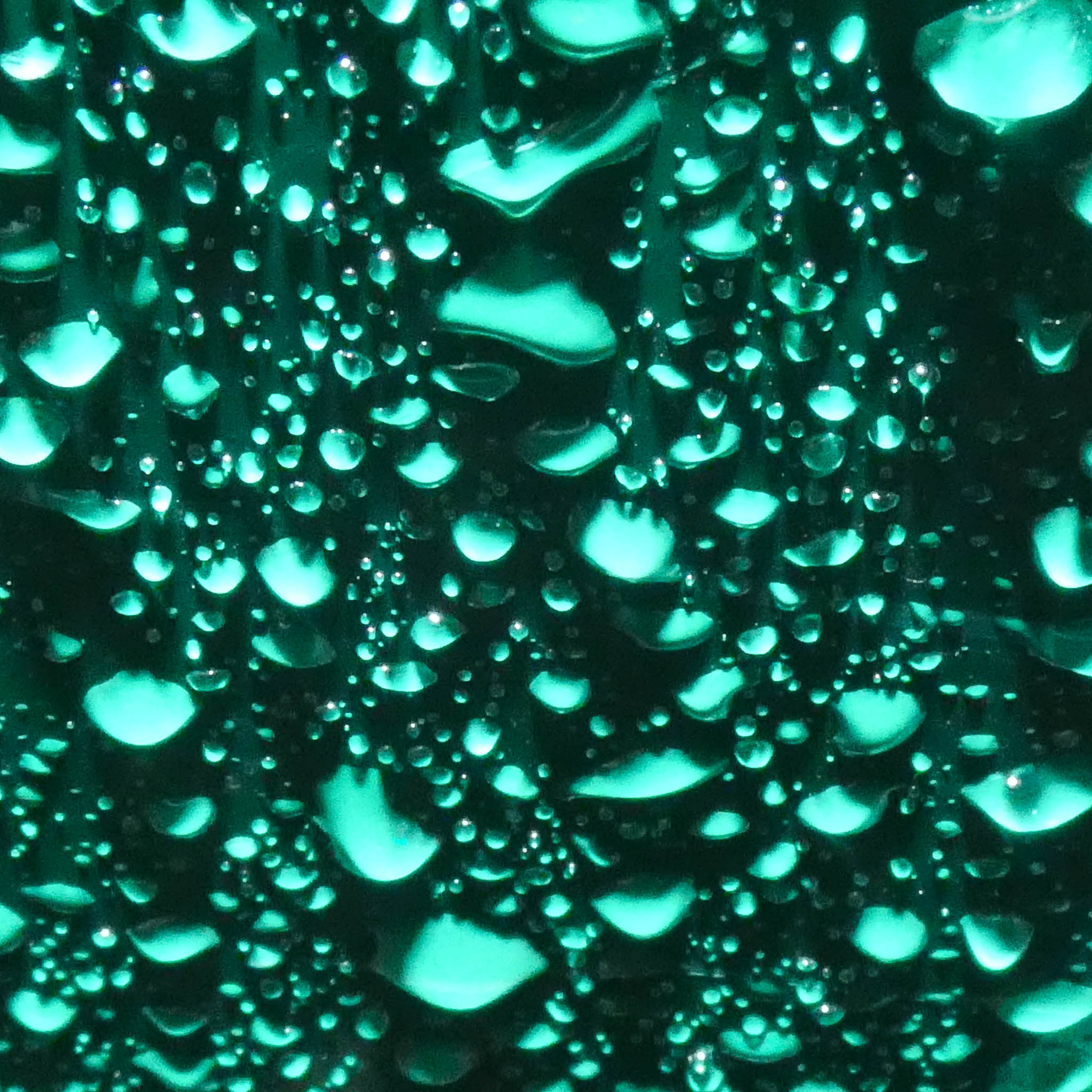 Une photographie Macro de gouttes d'eau sur fond vert.