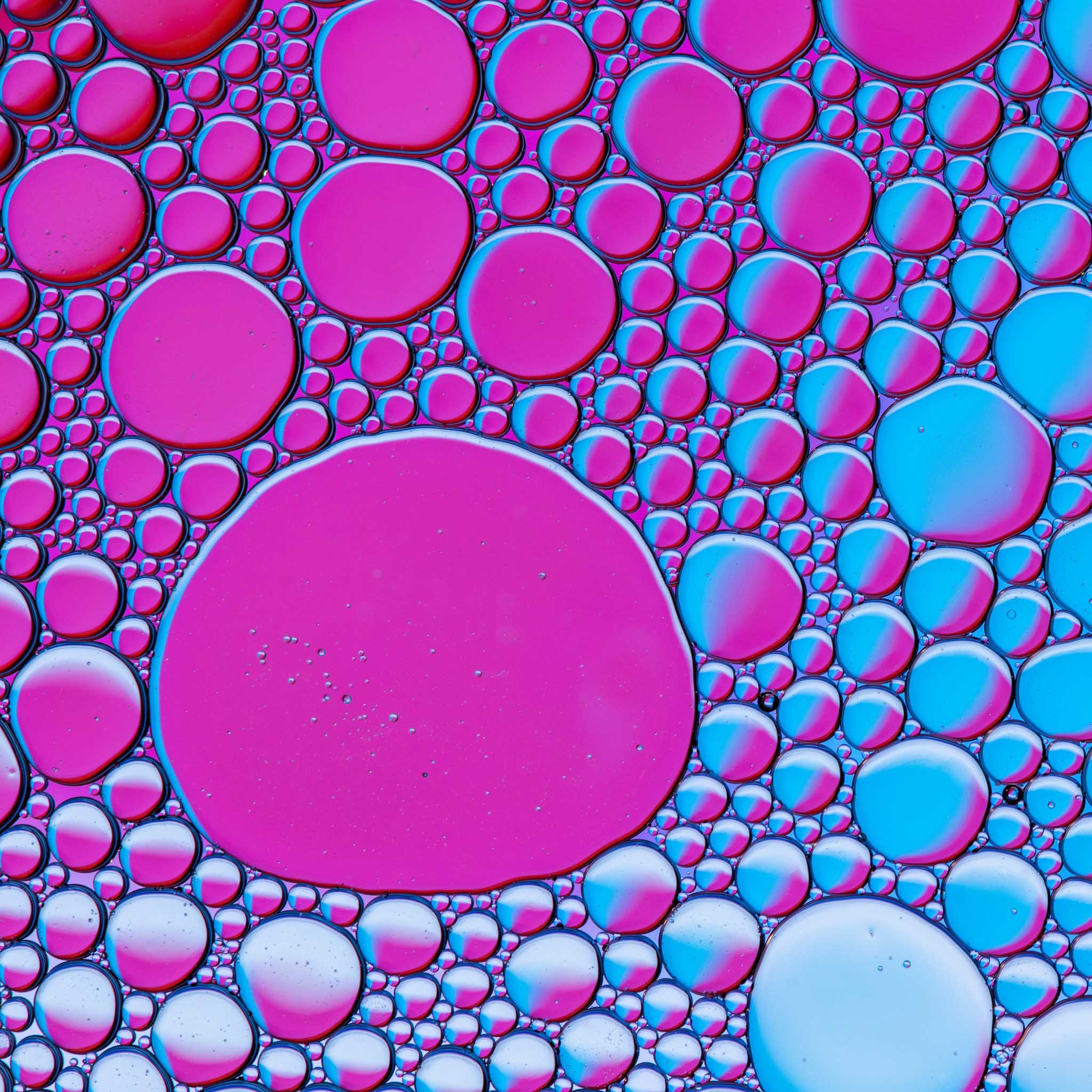 Une photo de bulles colorées (roses et bleues) vues sous un microscope. Illustre l'idée que l'écriture poétique est semblable à une expérience en laboratoire.